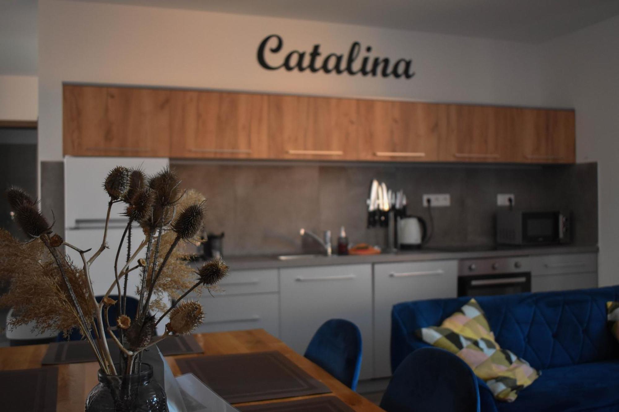 Apartmany Catalina Naszvad Kültér fotó