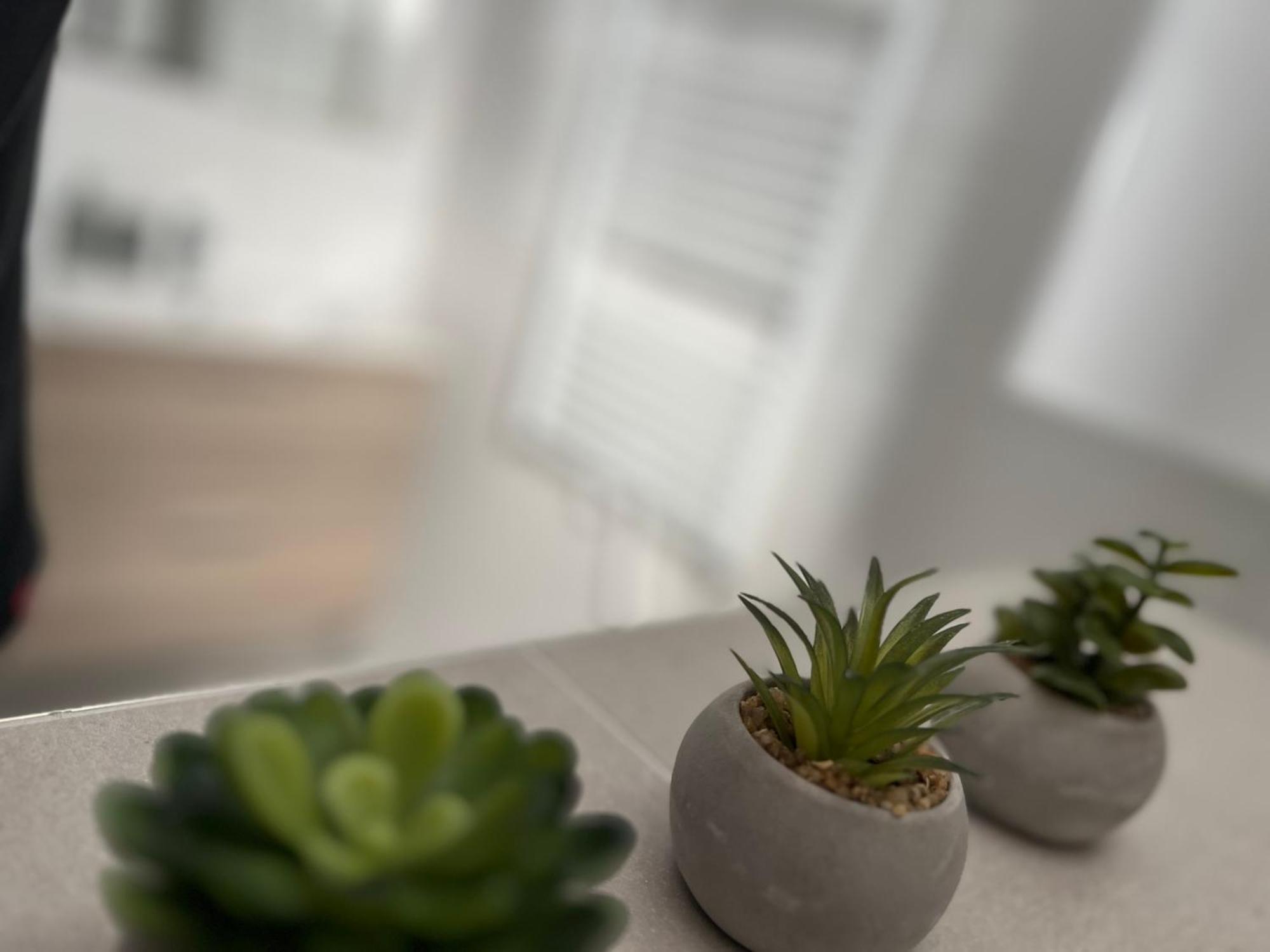 Apartmany Catalina Naszvad Kültér fotó